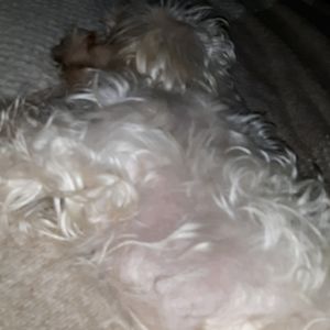 Thanks for stopping by